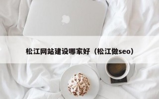 松江网站建设哪家好（松江做seo）