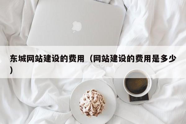 东城网站建设的费用(网站建设的费用是多少)