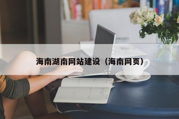 海南湖南网站建设(海南网页)